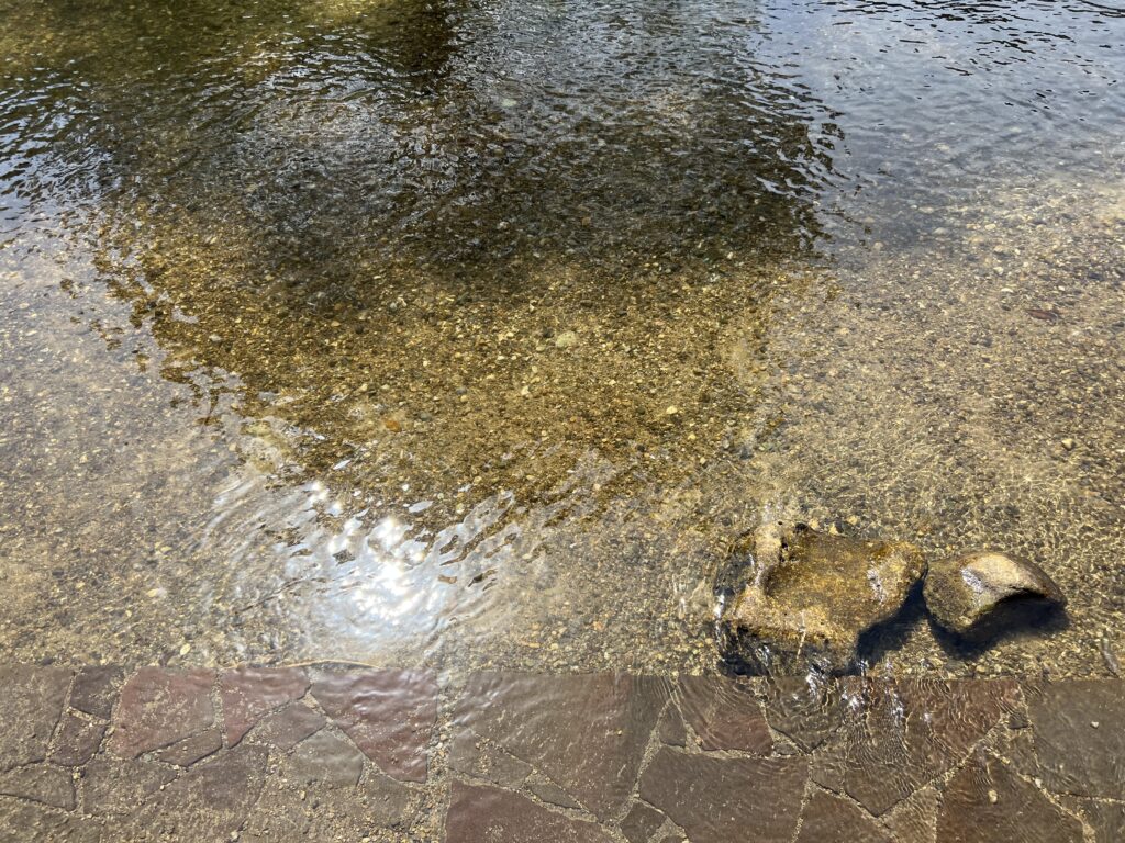 綺麗な川の水